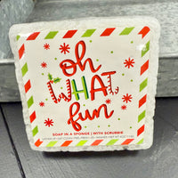 Caren Christmas Soap Sponges-8 Styles!!