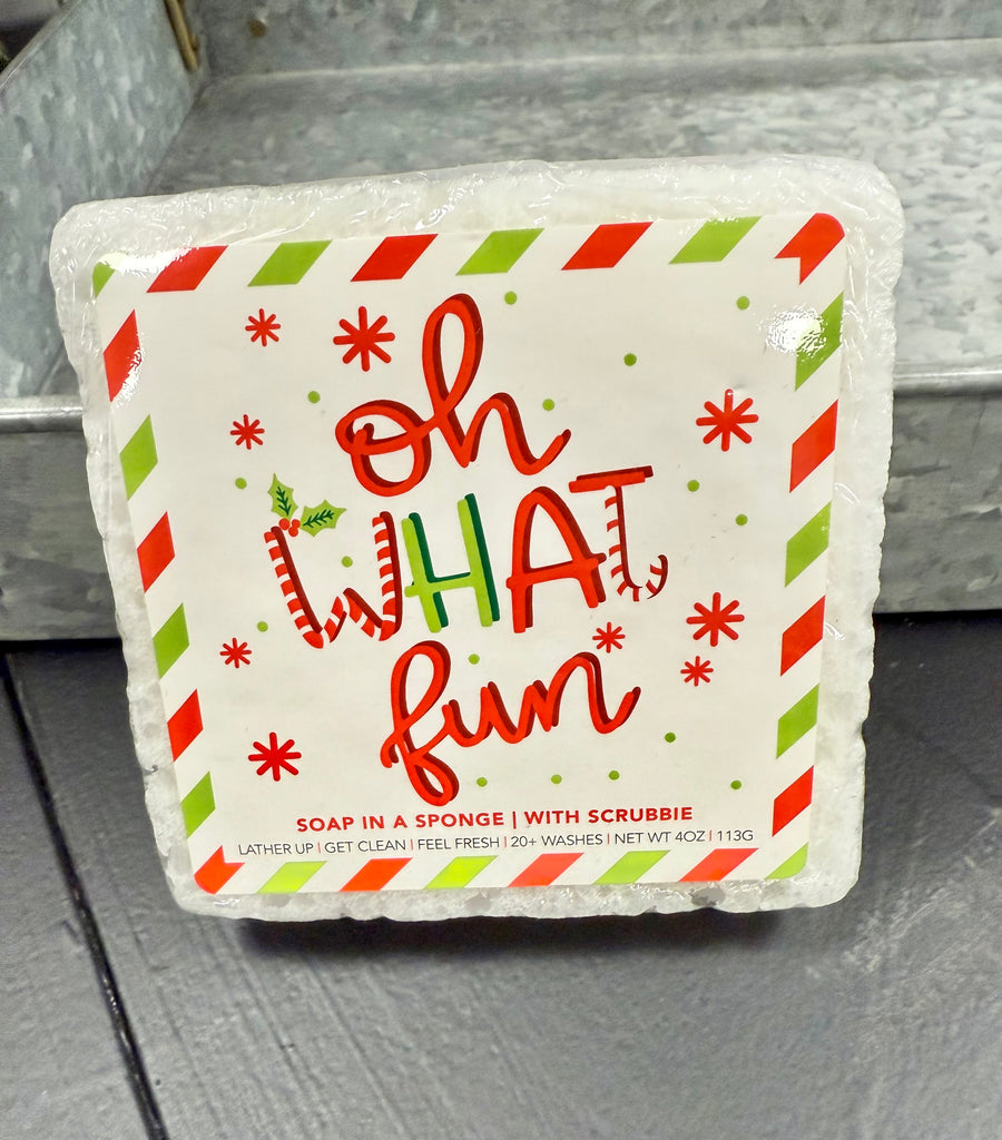 Caren Christmas Soap Sponges-8 Styles!!