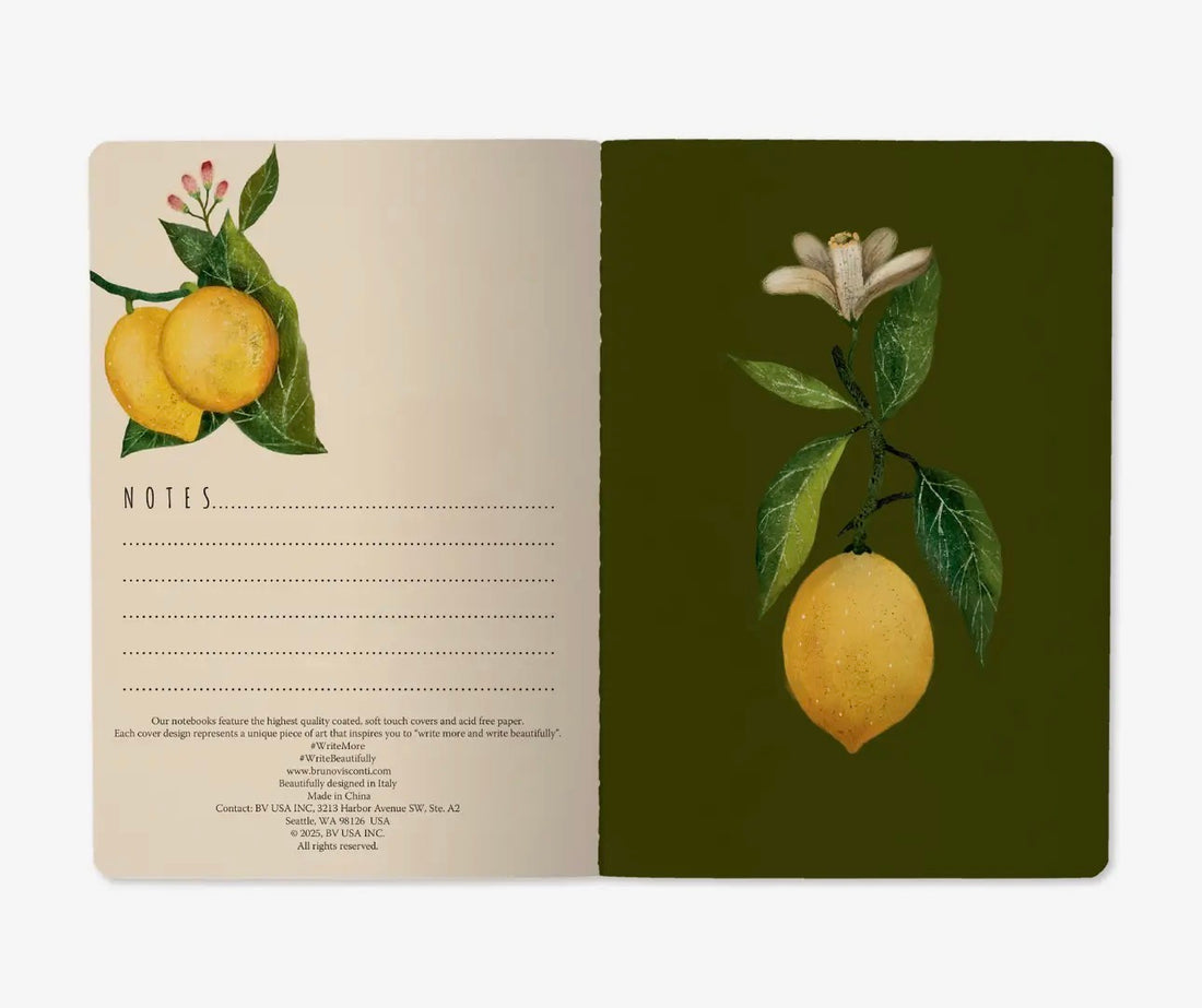Notebook-Lemons