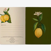 Notebook-Lemons