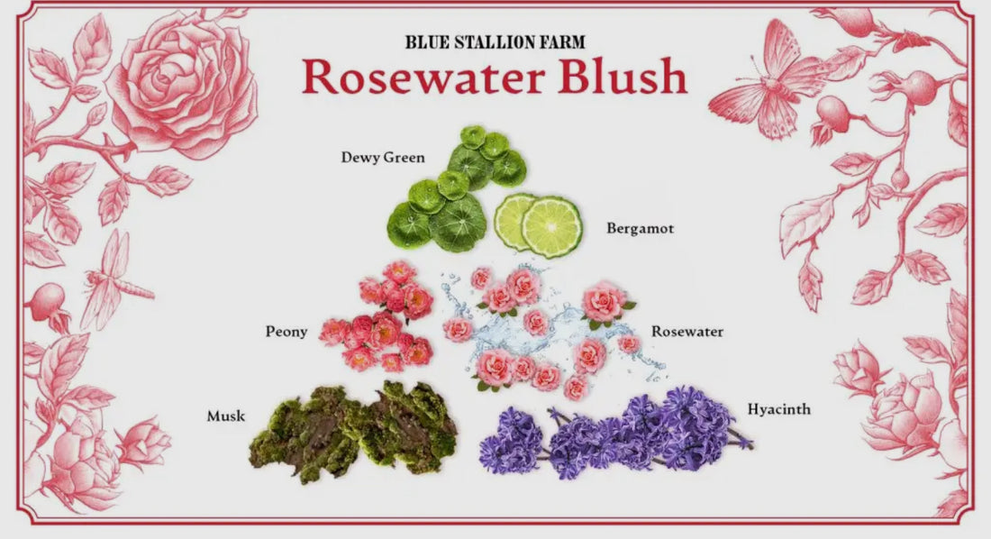 Rosewater Blush Perfume