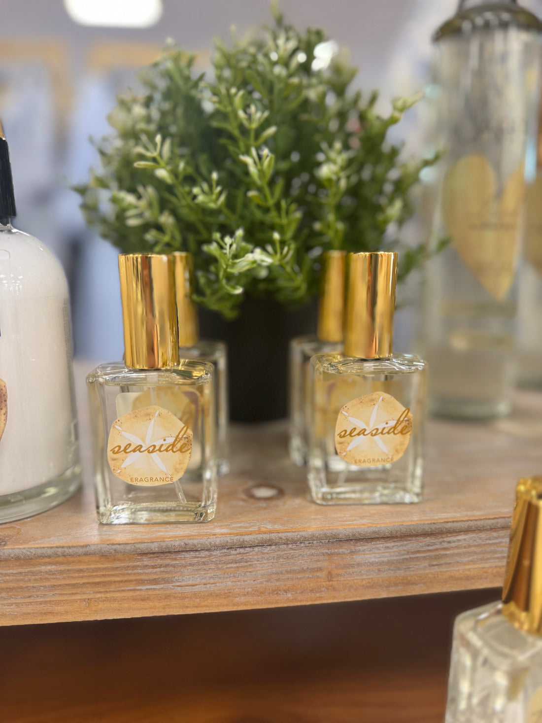Caren-Seaside Fragrance