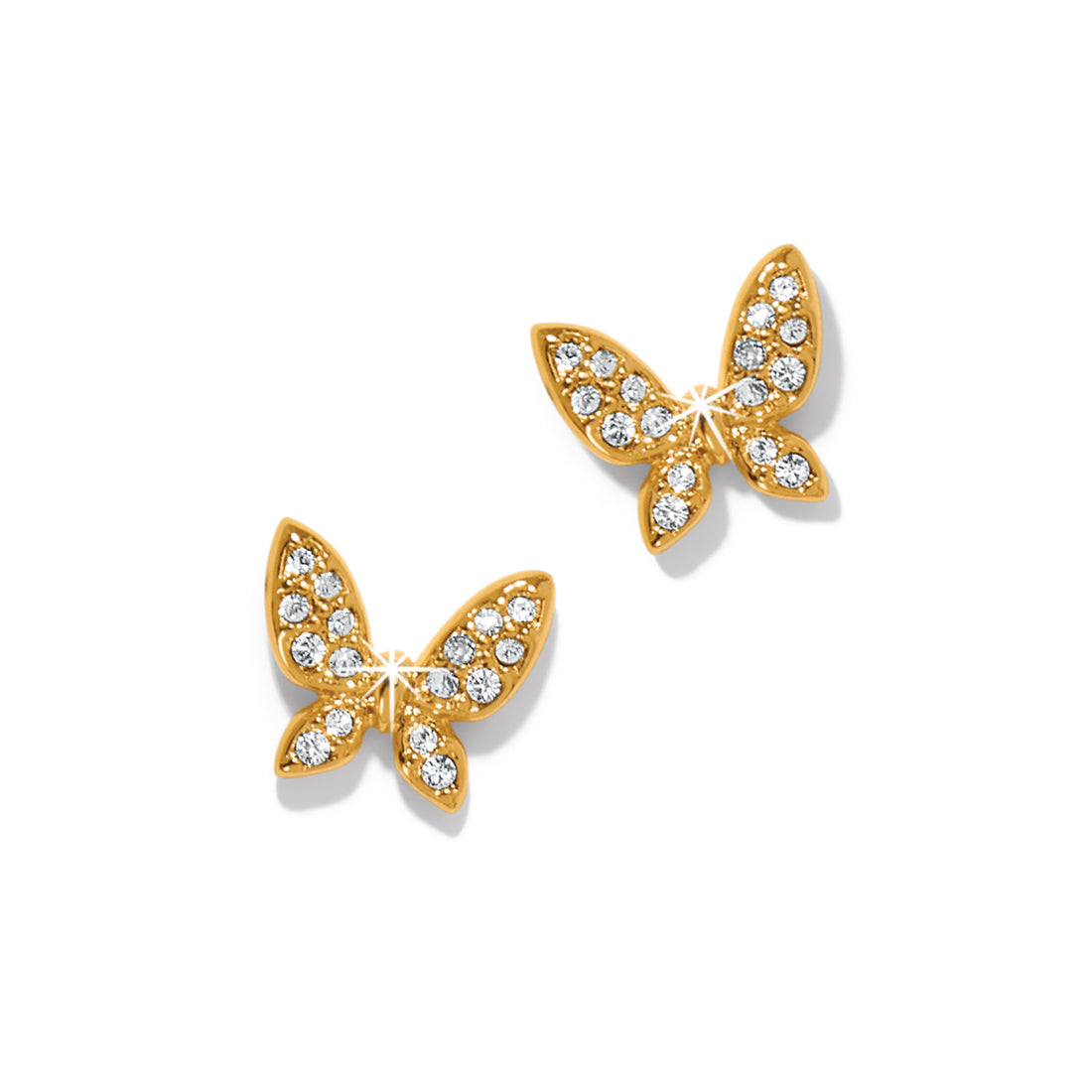 Brighton | Enchanting Butterfly Post Earrings-Gold
