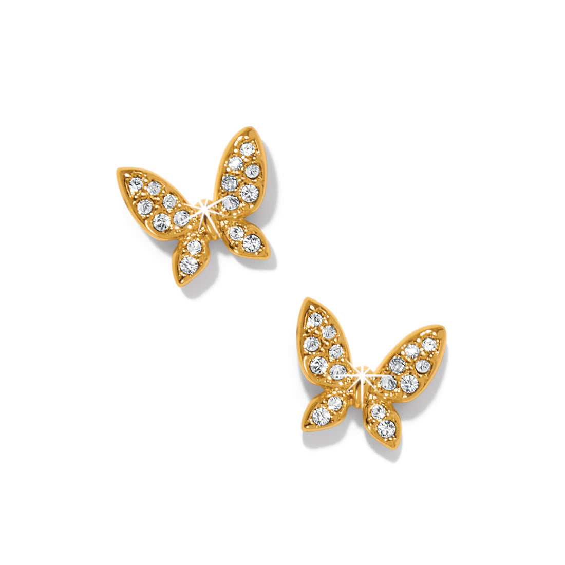 Brighton | Enchanting Butterfly Post Earrings-Gold