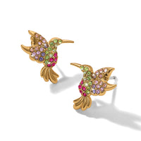 Brighton | Enchanting Gem Hummingbird Earrings