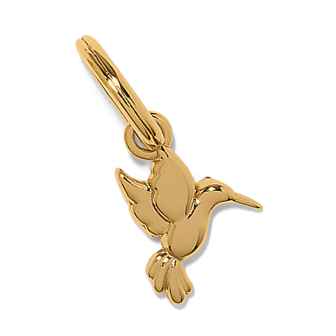 Brighton | Enchanting Gem Hummingbird Charm