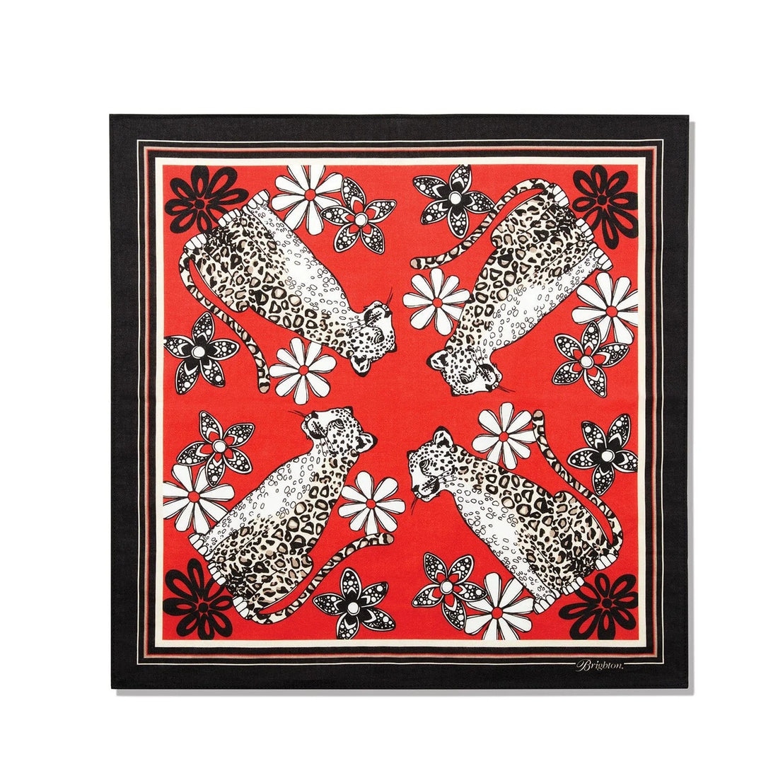 Brighton | Leopard Cat Print Scarf
