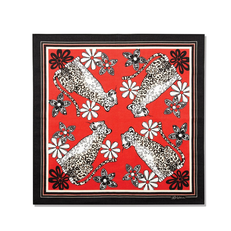 Brighton | Leopard Cat Print Scarf