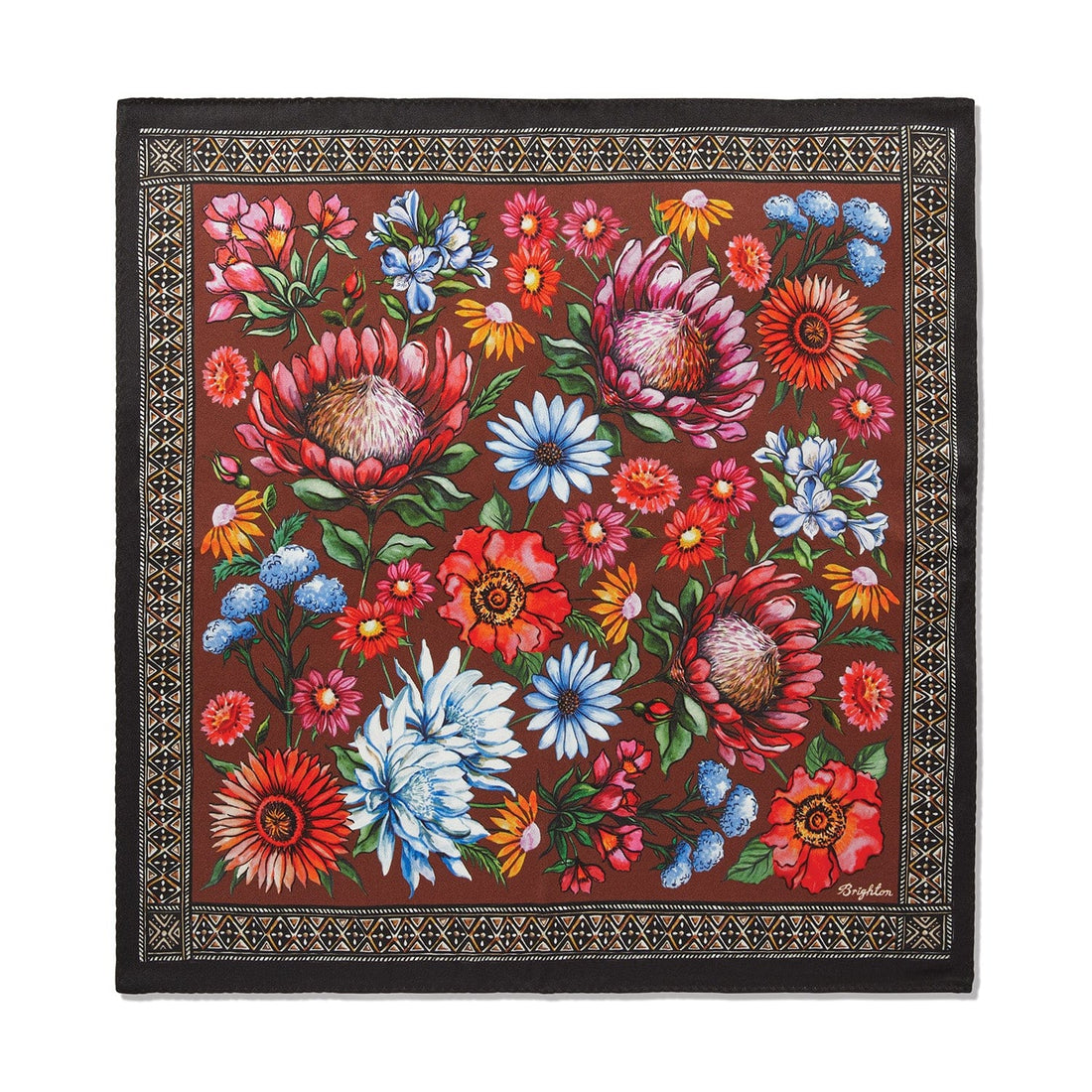Brighton | Red Floral Print Scarf