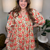 Shine On Me Curvy Dress