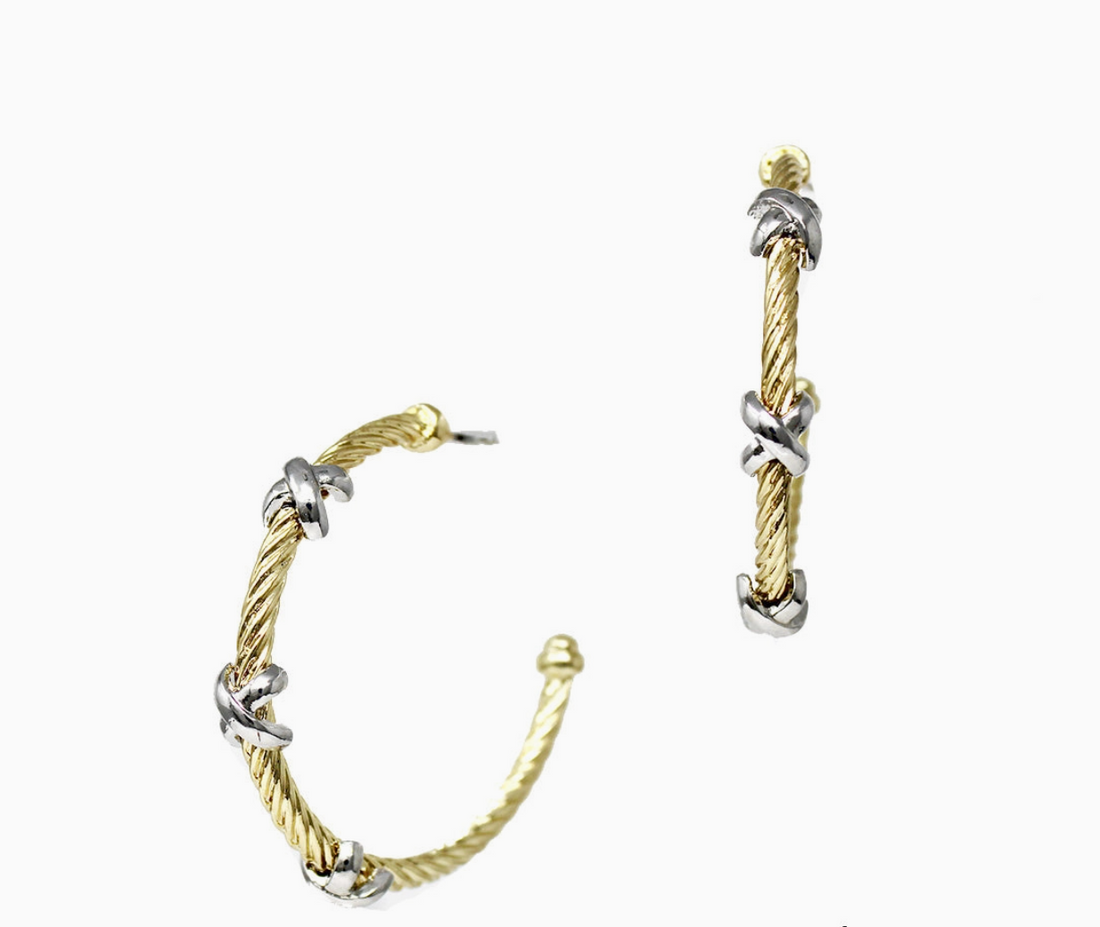 Immediately Intrigued Earrings
